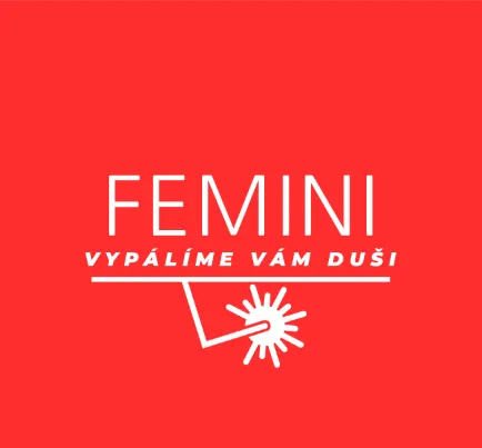 FEMINI - Laserové operace České Budějovice
